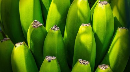 做外贸用什么crm