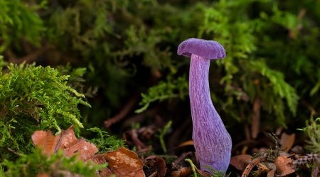 crm的销售漏斗是什么