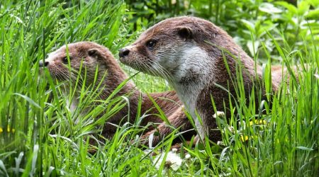 网站维护用什么