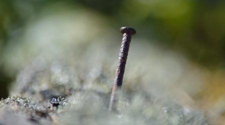 工资carry是什么