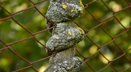 makemefacar什么意思