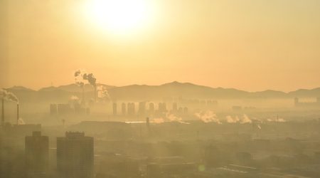 烟台有什么网站