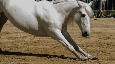 什么标准需要备案