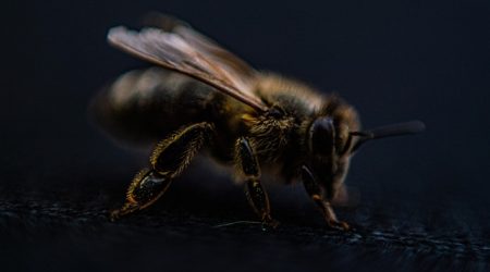 左右焦点是什么