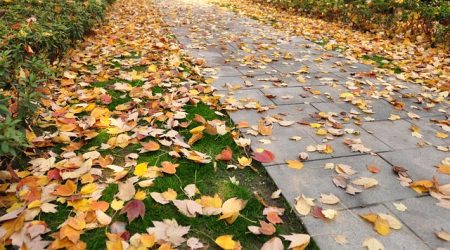 静安是什么平台