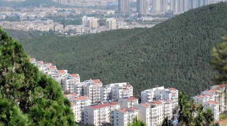 随州有什么网站