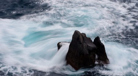 域名续费什么价格