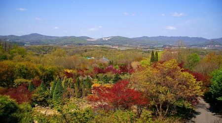 trillion是什么牌子