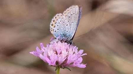 阿里网站是什么