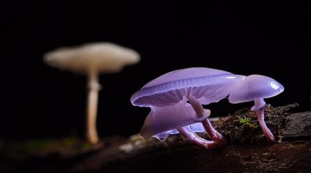 terribly词根是什么