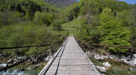 缩写算什么作文