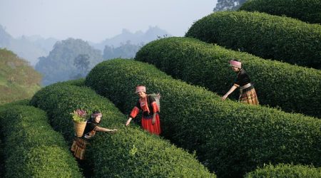 用户体验注意什么