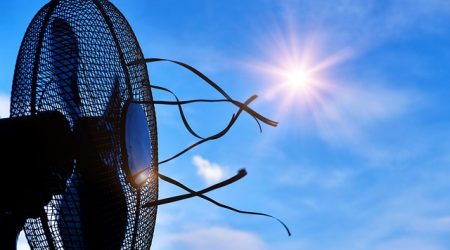 清凉代表什么肖