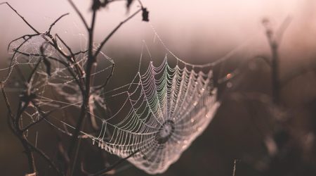 网页深度是什么