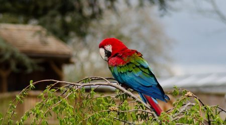 kind后接什么后缀