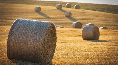 什么是文章收录