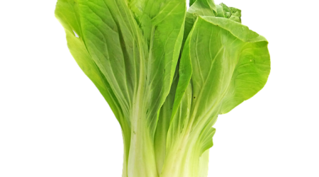 ihaveagiftforyou是什么梗