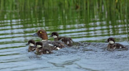 什么是传真邮箱