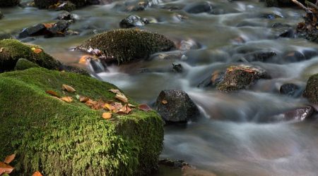 流利属于什么词性