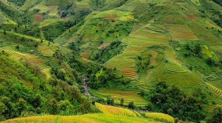 稻壳模块是什么