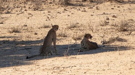 什么网站响应最快