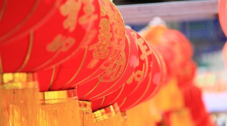 攀上枝头什么生肖