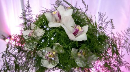 exceptional名词是什么