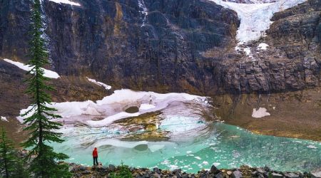 优化标准什么意思