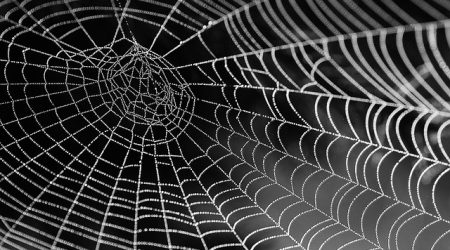 网页设计包含什么内容