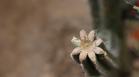 vi系统都有什么