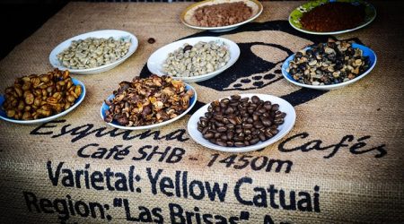 org域名属什么域名