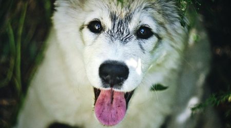 删除访客记录为什么