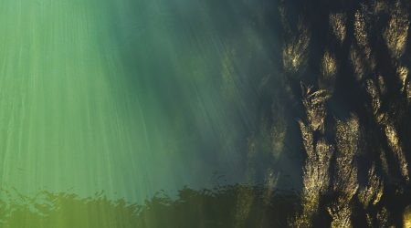 最高域名 什么意思