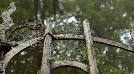 门户类什么意思