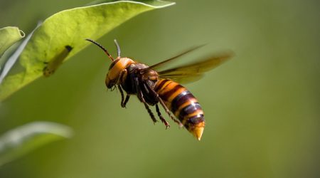 什么是抓取异常