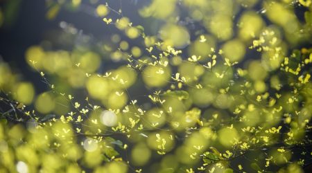 域名续费需要什么