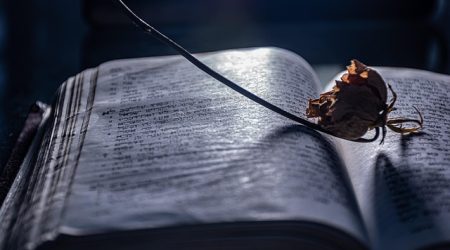 什么是封面型网页