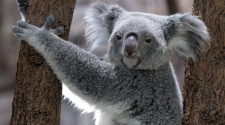 备案有什么流程