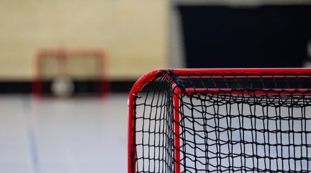 net网站是什么级别