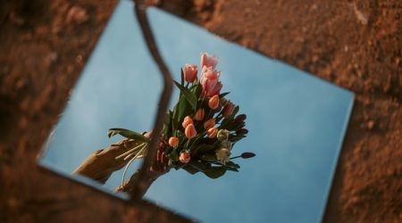 镜像网站有什么危害