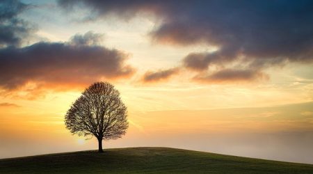 单pc网站是什么