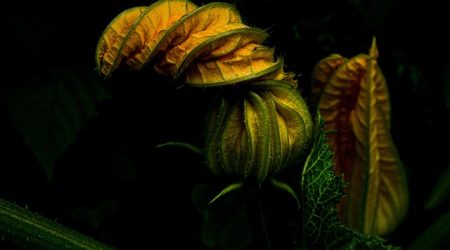 什么是制作费用多少