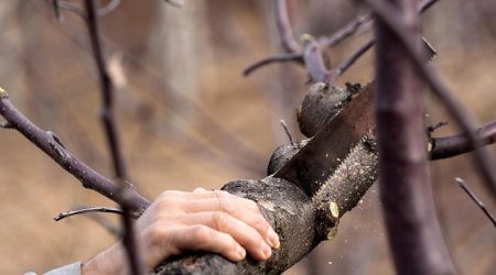 网站注册商是什么