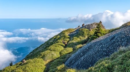 although强调什么区别