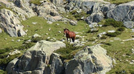 网页域名后缀都有什么