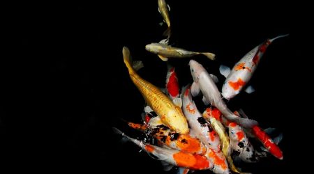 什么会影响权重