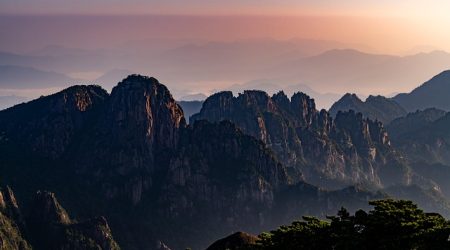 为什么中国 设站网